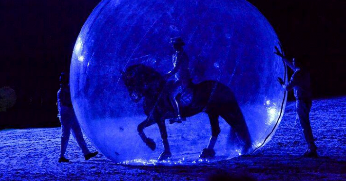 horse in a bubble